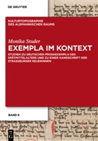 Monica Studer, Monika Studer - Exempla im Kontext