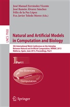 Jose Ramon Alvarez Sanchez, José Ramón Álvarez-Sánchez, Felix De La Paz Lopez, Félix De La Paz López, de la Paz Lopez et al, Jose Manuel Ferrandez Vicente... - Natural and Artificial Models in Computation and Biology