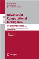 Joan Cabestany, Gonzal Joya, Gonzalo Joya, Ignacio Rojas - Advances in Computational Intelligence
