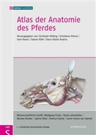 Klaus-Dieter Budras, BUDRAS ANATOMIE, Sabine Röck, Klaus-Dieter Budras, Sabine Kölle, Müllin... - Atlas der Anatomie des Pferdes