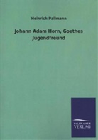Heinrich Pallmann - Johann Adam Horn, Goethes Jugendfreund