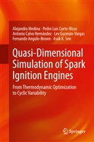 Fernando Angulo-Brown, Pedro Lui Curto-Risso, Pedro Luis Curto-Risso, Lev Guzmán-Vargas, Hernánde, Antonio Calvo Hernández... - Quasi-Dimensional Simulation of Spark Ignition Engines