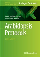 Jos J Sanchez-Serrano, Jose J Sanchez-Serrano, Salinas, Salinas, Julio Salinas, Jose J. Sanchez-Serrano - Arabidopsis Protocols