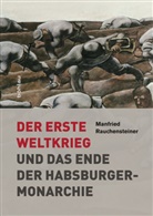 Manfried Rauchensteiner - Der Erste Weltkrieg