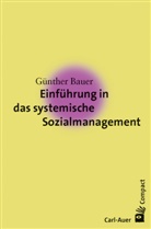 Günther Bauer - Einführung in das systemische Sozialmanagement