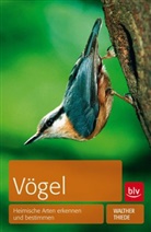 Walther Thiede - Vögel