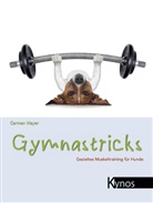 Carmen Mayer - Gymnastricks