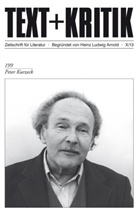 Heinz Ludwig Arnold, Heinz L. Arnold, Heinz Ludwig Arnold, Matthia Bauer, Matthias Bauer, Dittberne... - Text + Kritik - 199: Peter Kurzeck