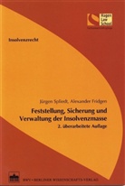 Alexander Fridgen, Jürgen Spliedt - Feststellung, Sicherung und Verwaltung der Insolvenzmasse