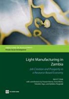 Hinh T. Dinh, Hinh T./ Kumar Dinh, Dinh Hinh - Light Manufacturing in Zambia