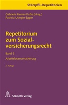 Patricia Usinger-Egger, Gabriel Riemer-Kafka, Gabriela Riemer-Kafka - Repetitorium zum Sozialversicherungsrecht Band 5. Bd.5