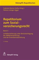 Patricia Usinger-Egger, Gabriel Riemer-Kafka, Gabriela Riemer-Kafka - Repetitorium zum Sozialversicherungsrecht Band 4. Bd.4