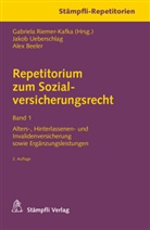 Alex Beeler, Jako Ueberschlag, Jakob Ueberschlag, Gabriel Riemer-Kafka, Gabriela Riemer-Kafka - Repetitorium zum Sozialversicherungsrecht Band 1. Bd.1