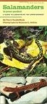 Terry Vandewalle, Terry/ Collins Vandewalle, Suzanne L. Collins - Salamanders in Your Pocket