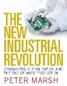Peter Marsh, Peter (BSc (Soc Sci) Marsh - New Industrial Revolution