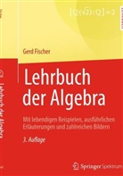 Gerd Fischer - Lehrbuch der Algebra