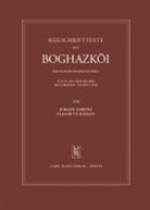 Jürgen Lorenz, Elisabeth Rieken, Akademie der Wissenschaften und der Literatur - Mainz, Jürgen Lorenz, Elisabeth Rieken - Texte aus dem Bezirk des Großen Tempels XIX