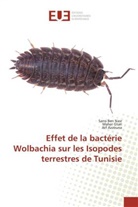 Atf Azzouna, Sarr Ben Nasr, Sarra Ben Nasr, Mahe Gtari, Maher Gtari - Effet de la bacterie wolbachia
