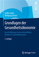 Fless, Steffe Flessa, Steffen Fleßa, Greiner, Wolfgang Greiner - Grundlagen der Gesundheitsökonomie