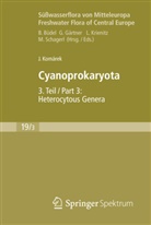 Jiri Komarek, Jirí Komárek, Jiří Komárek, Burkhard Büdel, Geor Gärtner, Georg Gärtner... - Süsswasserflora von Mitteleuropa - Bd. 19, Teil 3: Cyanoprokaryota. Tl.3