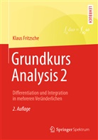 Klaus Fritzsche - Grundkurs Analysis. Bd.2