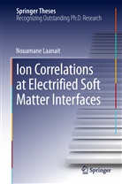 Nouamane Laanait - Ion Correlations at Electrified Soft Matter Interfaces