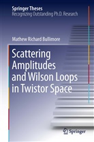 Mathew Bullimore, Mathew R. Bullimore, Mathew Richard Bullimore - Scattering Amplitudes and Wilson Loops in Twistor Space
