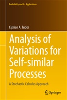 Ciprian Tudor, Ciprian A. Tudor - Analysis of Variations for Self-similar Processes