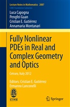 Luc Capogna, Luca Capogna, Pengfe Guan, Pengfei Guan, Cristian Gutierrez, Cristian E Gutiérrez... - Fully Nonlinear PDEs in Real and Complex Geometry and Optics