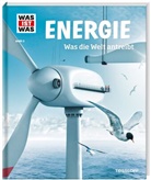 Laura Hennemann, Johannes Blendinger, Frank Kliemt, Markus Kluger, Gerhard Schlegel, Jan Schwochow - WAS IST WAS Band 3 Energie