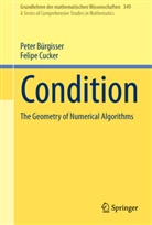 Pete Bürgisser, Peter Bürgisser, Felipe Cucker - Condition