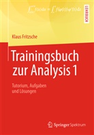 Klaus Fritzsche - Trainingsbuch zur Analysis 1