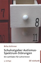 Brita Schirmer - Schulratgeber Autismus-Spektrum-Störungen