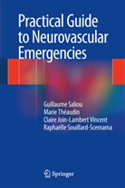 Claire Join-Lambert, Join-Lambert Vin, Claire Join-Lambert Vincent, Guillaum SALIOU, Guillaume Saliou, Raphaelle Souillard-Scemama... - Practical Guide to Neurovascular Emergencies