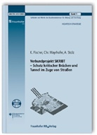 K. Fischer, Chr. Mayrhofer, A. Stolz - Verbundprojekt SKRIBT - Schutz kritischer Brücken und Tunnel im Zuge von Straßen. Abschlussbericht