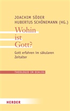 Schönemann, Schönemann, Hubertus Schönemann, Joachi Söder, Joachim Söder - Theologie im Dialog