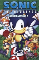 Michael Gallagher - Sonic - The Hedgehog. Sonderbd.1