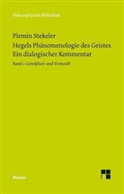 Pirmin Stekeler, Pirmin Stekeler-Weithofer - Hegels Phänomenologie des Geistes. Ein dialogischer Kommentar. Bd.1