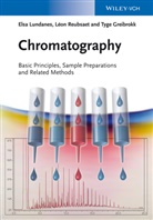 Greibrokk, Tyge Greibrokk, Lundane, Els Lundanes, Elsa Lundanes, Reubsae... - Chromatography