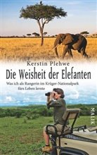 Kerstin Plehwe - Die Weisheit der Elefanten