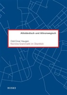 Odd E. Haugen, Odd Einar Haugen - Norröne Grammatik im Überblick
