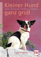 Sophie Strodtbeck - Kleiner Hund ganz groß