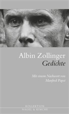 Albin Zollinger - Gedichte
