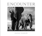 David Yarrow, Yarrow David, David Yarrow - Encounter