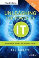 D Roberts, Dan Roberts - Unleashing the Power of It
