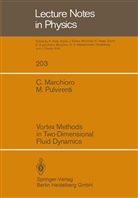 Marchioro, C Marchioro, C. Marchioro, M Pulvirenti, M. Pulvirenti, Mario Pulvirenti - Vortex Methods in Two-Dimensional Fluid Dynamics