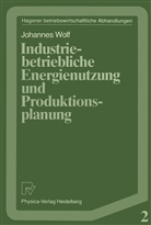 Johannes Wolf - Industriebetriebliche Energienutzung und Produktionsplanung