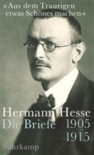 Hermann Hesse, Volke Michels, Volker Michels - "Aus dem Traurigen etwas Schönes machen"