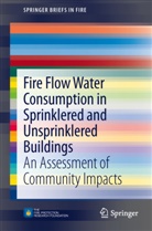 Inc. Code Consultants, Inc. Consultants, Code Consultants Inc - Fire Flow Water Consumption in Sprinklered and Unsprinklered Buildings