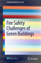 Raymond Cheng, Juan Echeverria, Juan et Echeverria, Bria Meacham, Brian Meacham, Brando Poole... - Fire Safety Challenges of Green Buildings